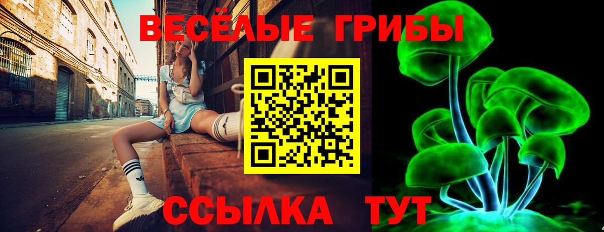 Галлюциногенные грибы ЛСД  Вход с VPN  Тольятти  Галлюциногенные грибы GOLDEN TEACHER 