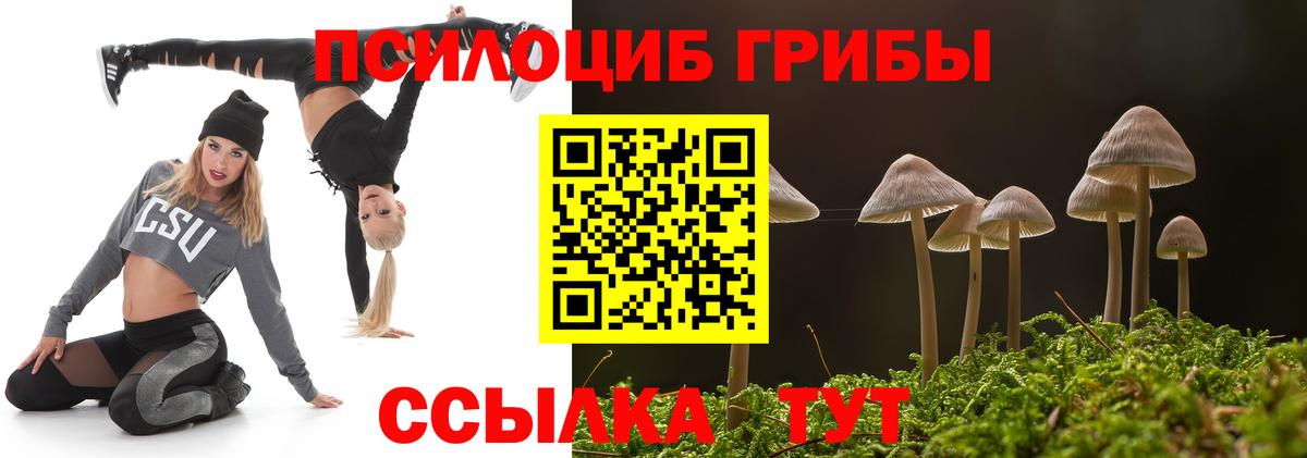 Псилоцибиновые грибы Cubensis Тольятти